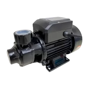 Motobomba Periférica Eletroplas EP-100B 1hp Monofásica 110/220V